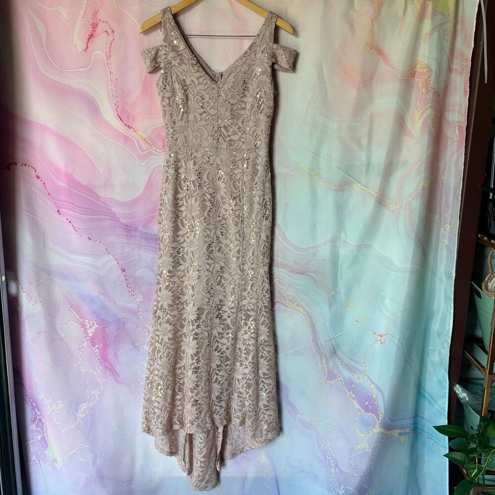 Alexa B Nites 4 Pale Blush Pink Lace Formal Dress Floor Length Evening Gown